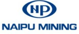 Naipu chile quick